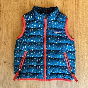 Patagonia Baby Down Sweater Vest